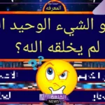 ما هو الشئ الذي لم يخلقه الله ولم يصنعه البشر ؟