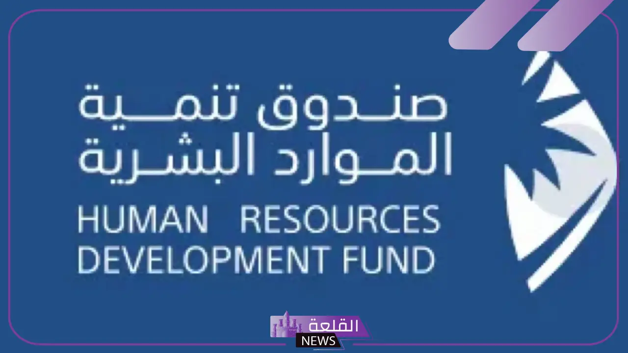لاكتشاف المواهب.. تنمية الموارد البشرية تعلن إطلاق مبادرة العمل المبكر