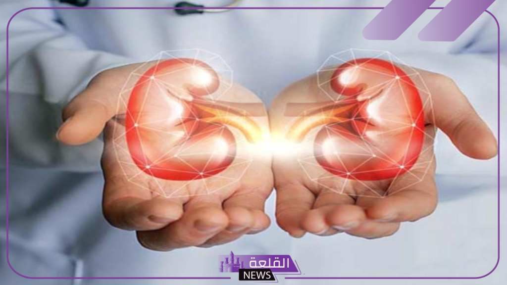 خطر على كليتك.. مشروب شهير يدمر الكلية تجنب تناوله 5 مشروبات مضرة على الكلى