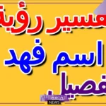 معنى اسم فهد في المنام لابن سيرين وابن شاهين.. رمز اسم فهد في المنام