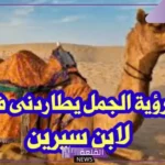 حلمت بجمل يلاحقني ويركض خلفي في المنام لابن سيرين