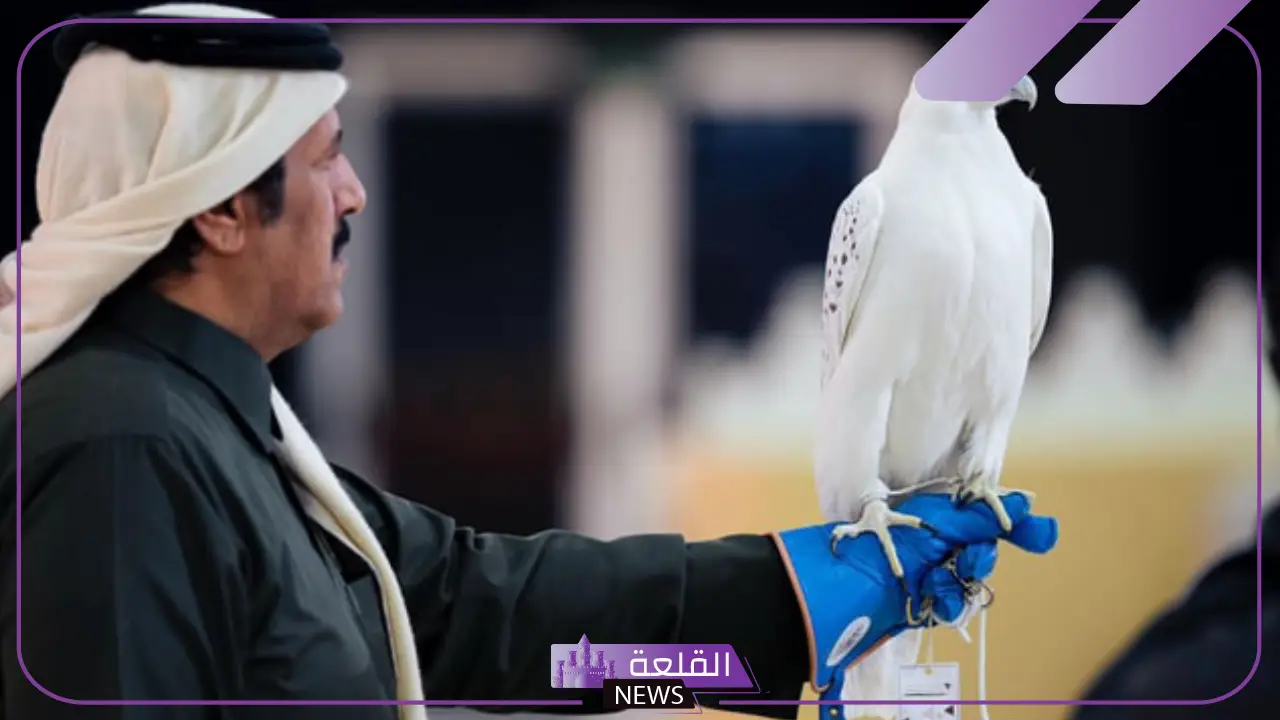 تعرف على التفاصيل.. تتويج الفائزين بشوطي حر وفرخ وجير بيور قرناس للمحليين بمسابقة المزايين 5 فعاليات مهرجان الملك عبدالعزيز للصقور 2024