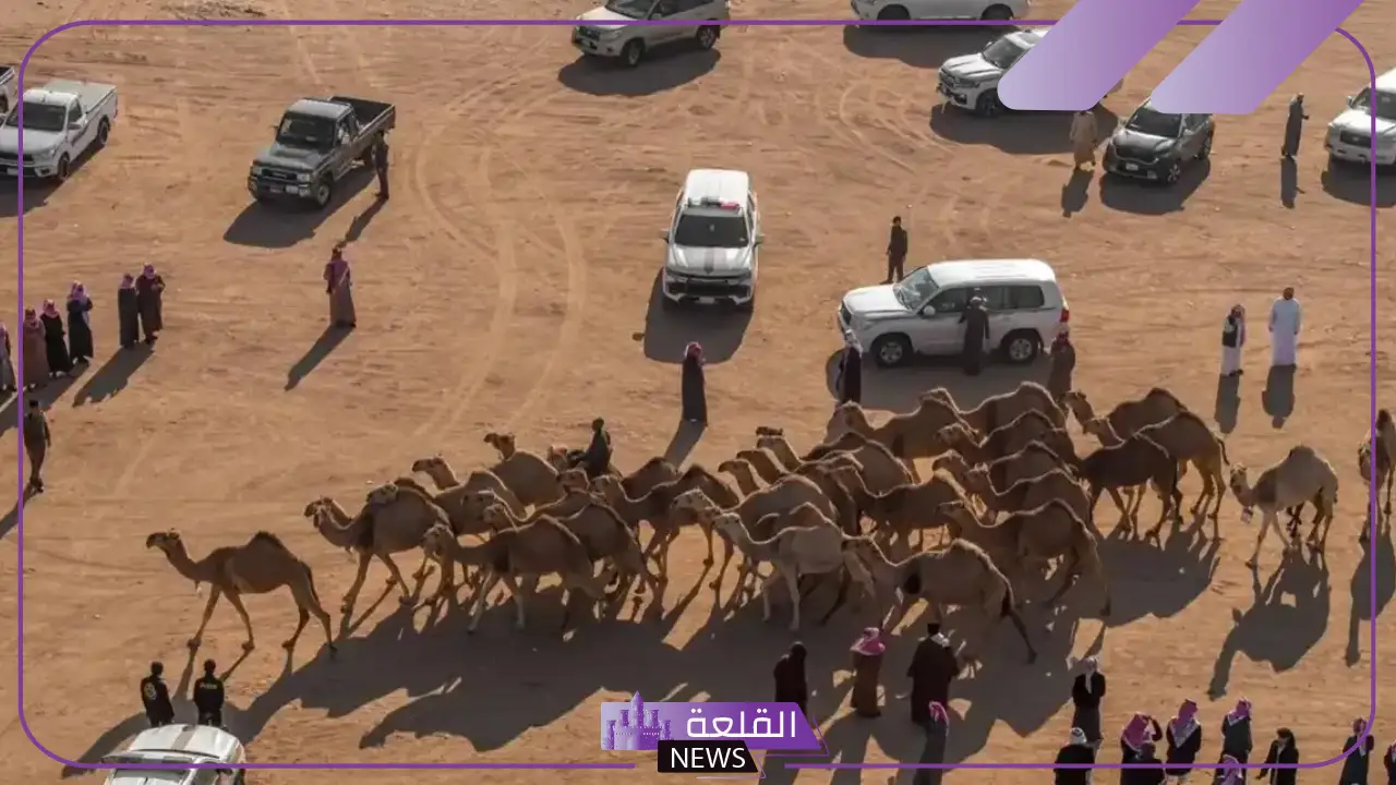 عقب تعليق المنصة بسبب ملايين المصوتين.. ابن حثلين: الخلل التقني في راعي النظر يكشف جماهيرية الإبل الطاغية عقب تعليق المنصة بسبب ملايين المصوتين.. ابن حثلين: الخلل التقني في راعي النظر يكشف جماهيرية الإبل الطاغية