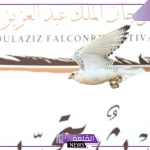 بلغت 9.8 مليون دولار.. قيمة الجوائز لمهرجان الملك عبد العزيز للصقور 2024