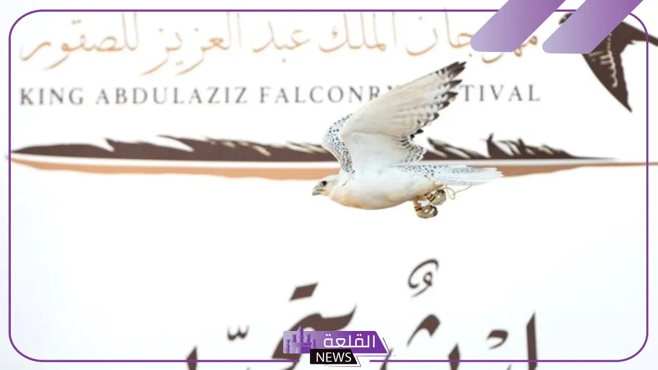 بلغت 9.8 مليون دولار.. قيمة الجوائز لمهرجان الملك عبد العزيز للصقور 2024