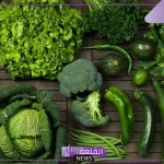واظب عليها.. 7 أطعمة نباتية تحتوي على الكالسيوم وتحافظ على صحة العظام