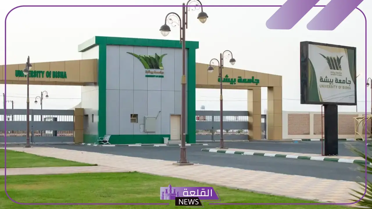 التعيين بنظام التعاون.. رابط التقديم على وظائف جامعة بيشة للجنسين 1446 5 كيفية التقديم على وظائف جامعة بيشة