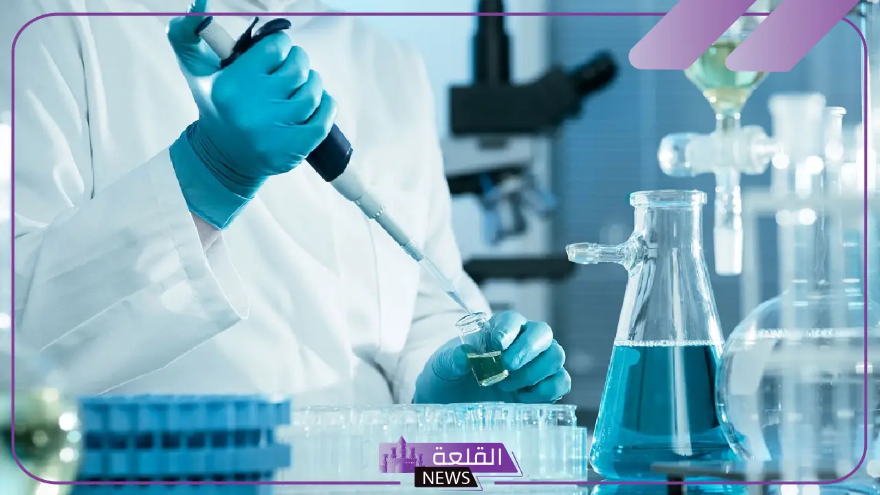 خلال 11 شهر.. أرباح بريميم هيلث كير ترتفع بنسبة 62% 5 بريميم هيلثكير تحقق أرباحًا قياسية بزيادة 62% في أقل من عام