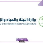 احذر.. 80000 ريال عقوبة من وزارة البيئة السعودية حال ارتكاب هذا الأمر