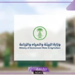 للحفاظ على المجتمع.. وزارة البيئة تصدر 4 إجراءات هامة خلال الفترة القادمة