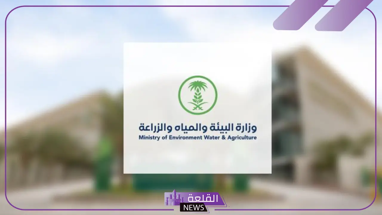 للحفاظ على المجتمع.. وزارة البيئة تصدر 4 إجراءات هامة خلال الفترة القادمة