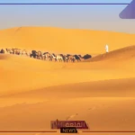 عائلة الجاسر وش يرجعون.. نسب عائلة الجاسر من وين يرجع
