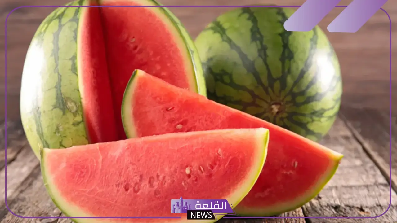 أفضل أنواع البطيخ في السعودية وأشهر المواصفات 6 دليل لاختيار أفضل أنواع البطيخ في السعودية
