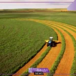 حصيلة الإنتاج الزراعي.. تحقيق اكتفاء ذاتي بنسبة 80% والحصيلة 38.3 مليار ريال