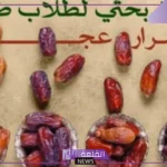 إنجاز طبي جديد.. طلاب طيبة يصلون إلى سر تمر العجوة ودوره في علاج الفيروسات ويحصلون على المركز الرابع في دوفات 2025