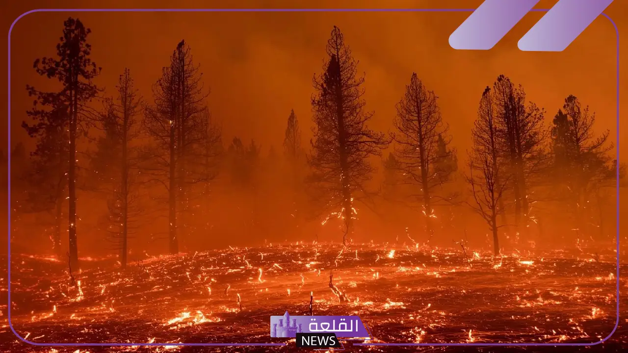 للتعامل مع الأزمة.. إدارة الإطفاء الأمريكية تبتكر حل غير مسبوق لحرائق لوس أنجلوس 5 الإطفاء الأمريكية تقدم حلاً مبتكراً لحرائق كاليفورنيا المتكررة