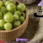 اسم فاكهة بحرف الثاء مشهورة.. فواكه تبدأ بحرف ث