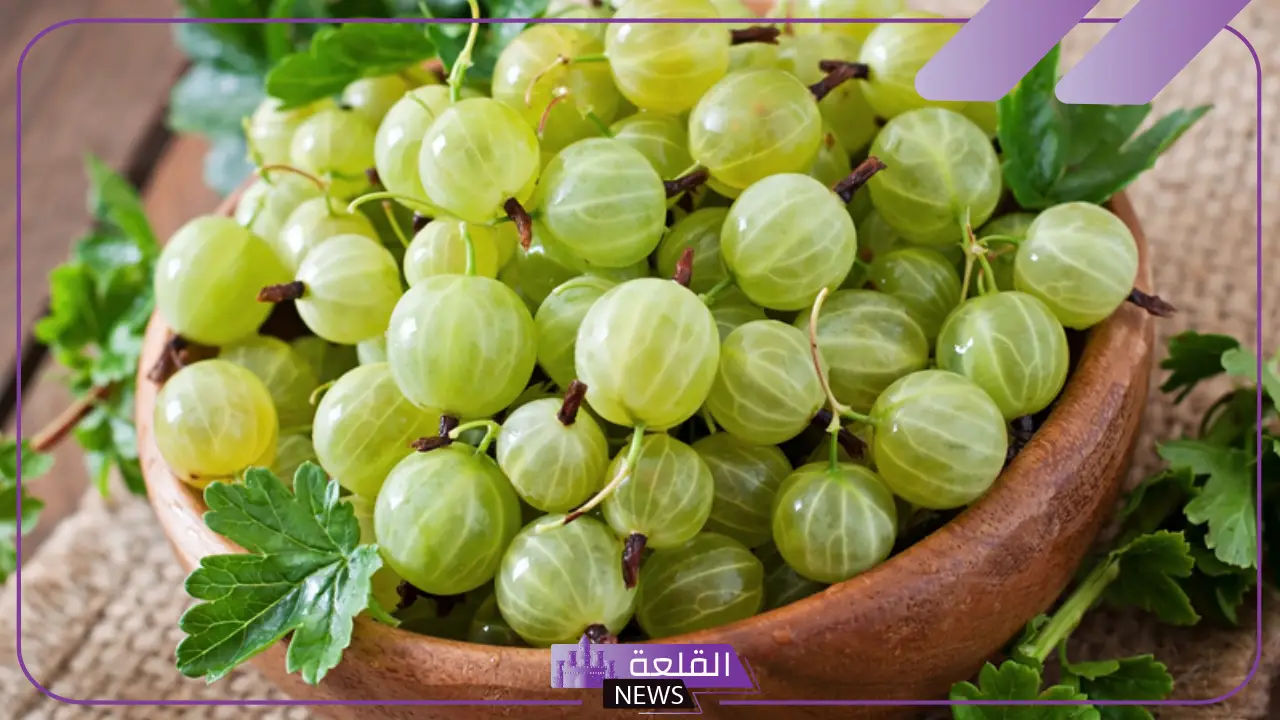 اسم فاكهة بحرف الثاء مشهورة.. فواكه تبدأ بحرف ث 5 فواكه بحرف الثاء