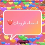 اسماء مجموعات جديدة للواتس آب والفيس بوك وتليجرام 2025