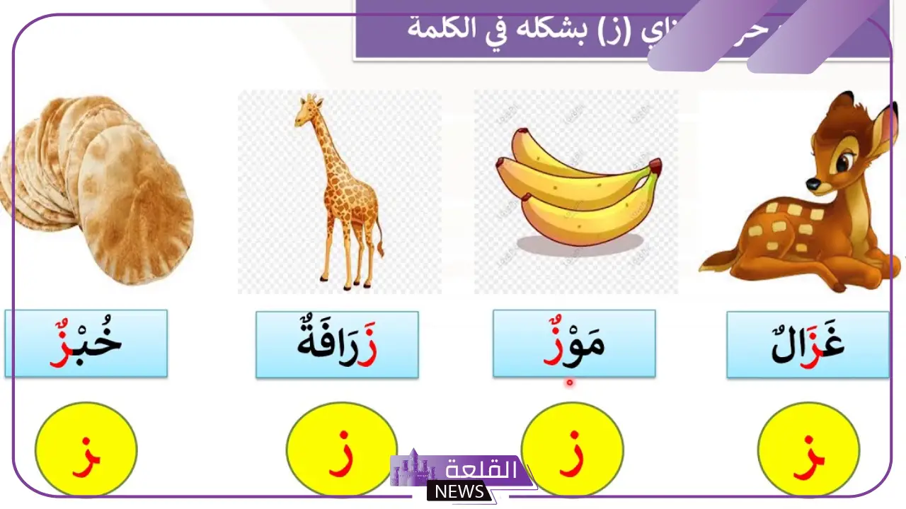 اشياء بحرف الزاء مشهورة.. جمادات تبدأ بحرف ز 5 كلمات تبدأ بحرف الزاء