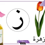 اشياء بحرف الزاء مشهورة.. جمادات تبدأ بحرف ز