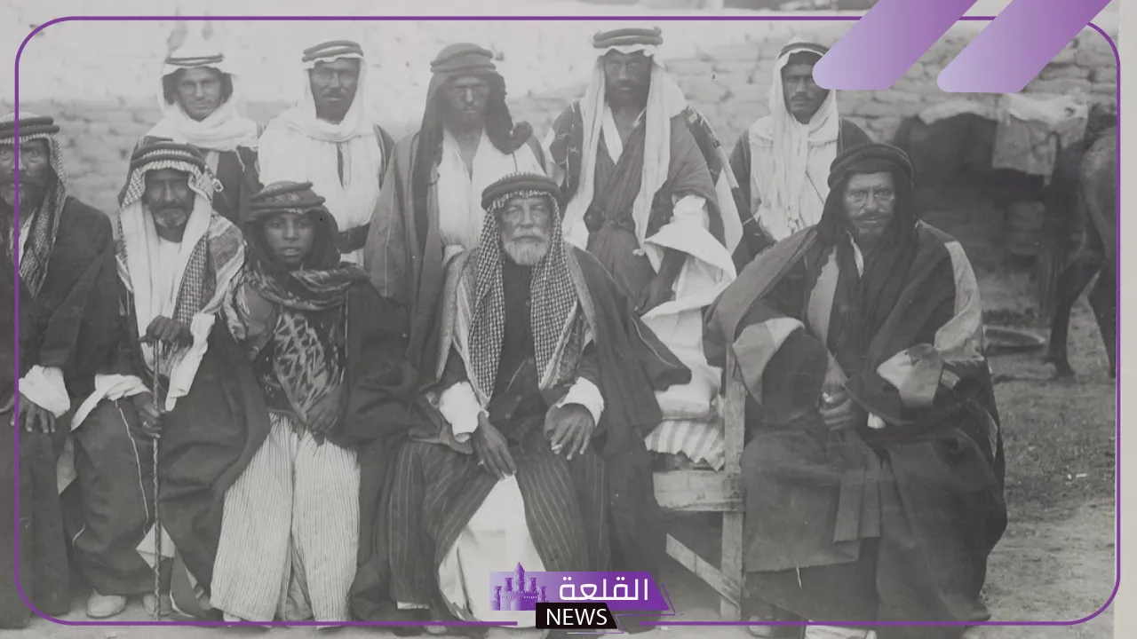 النملة وش يرجعون الأصل ونسبهم من وين، فروع عائلة النملة 