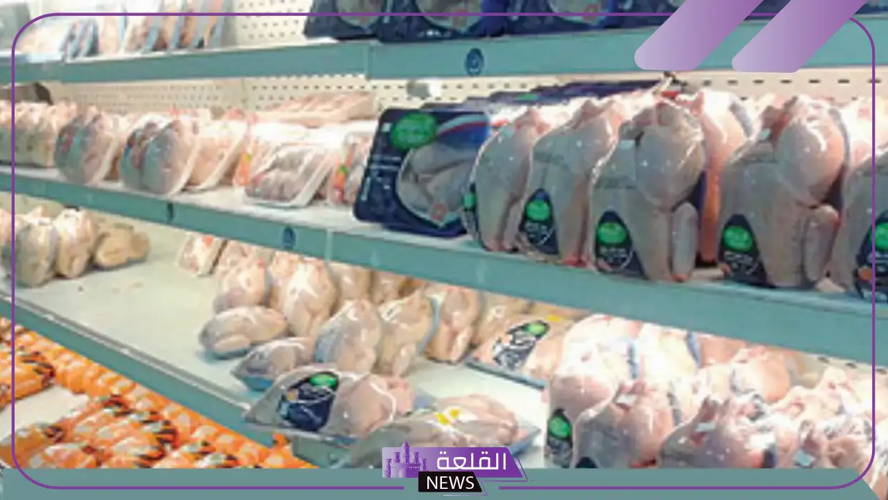 وش افضل دجاج مبرد في السعودية 2025 6 افضل دجاج مبرد