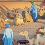 الأسمري وش يرجع أصله ونسب قبيلة الأسمري من وين