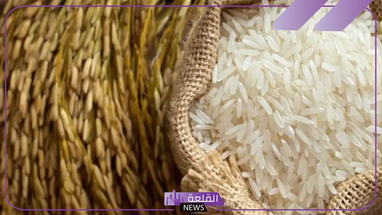 تفسير حلم الارز المطبوخ للعزباء الأبيض في المنام لابن سيرين 5 الأرز في المنام