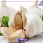مناسبة للشتاء.. أعشاب فعالة وفص ثوم يوميًا لعلاج التهابات الجيوب الأنفية