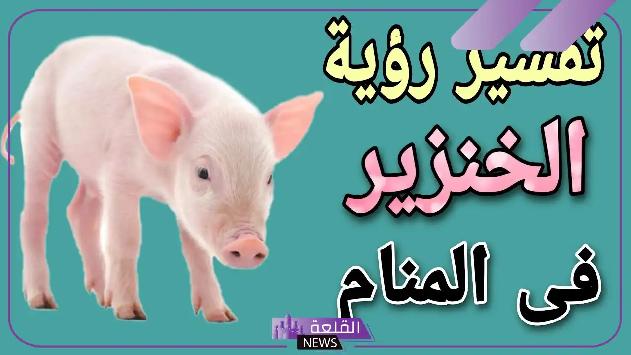 تفسير حلم الخنزير في المنام للمرأة والرجل لابن سيرين 5 دلالات ورؤية الخنزير في المنام