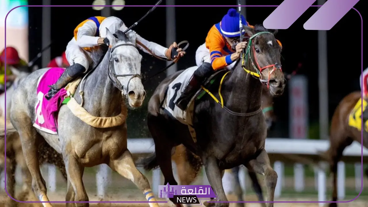 الخميس القادم.. انطلاق شوط الأمير سلطان في ميدان الجندارية 5 انطلاق أشواط سباق الأمير سلطان