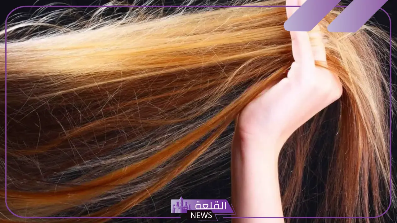 تفسير حلم رؤية الشعر الكثيف في المنام للمرأة والرجل لابن سيرين 5 ماذا يعني أن ترى شعرك كثيفاً في الحلم؟