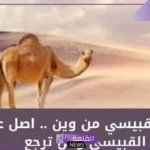 القبيسي وش يرجع أصله ونسبه من وين، شجرة عائلة القبيسي 