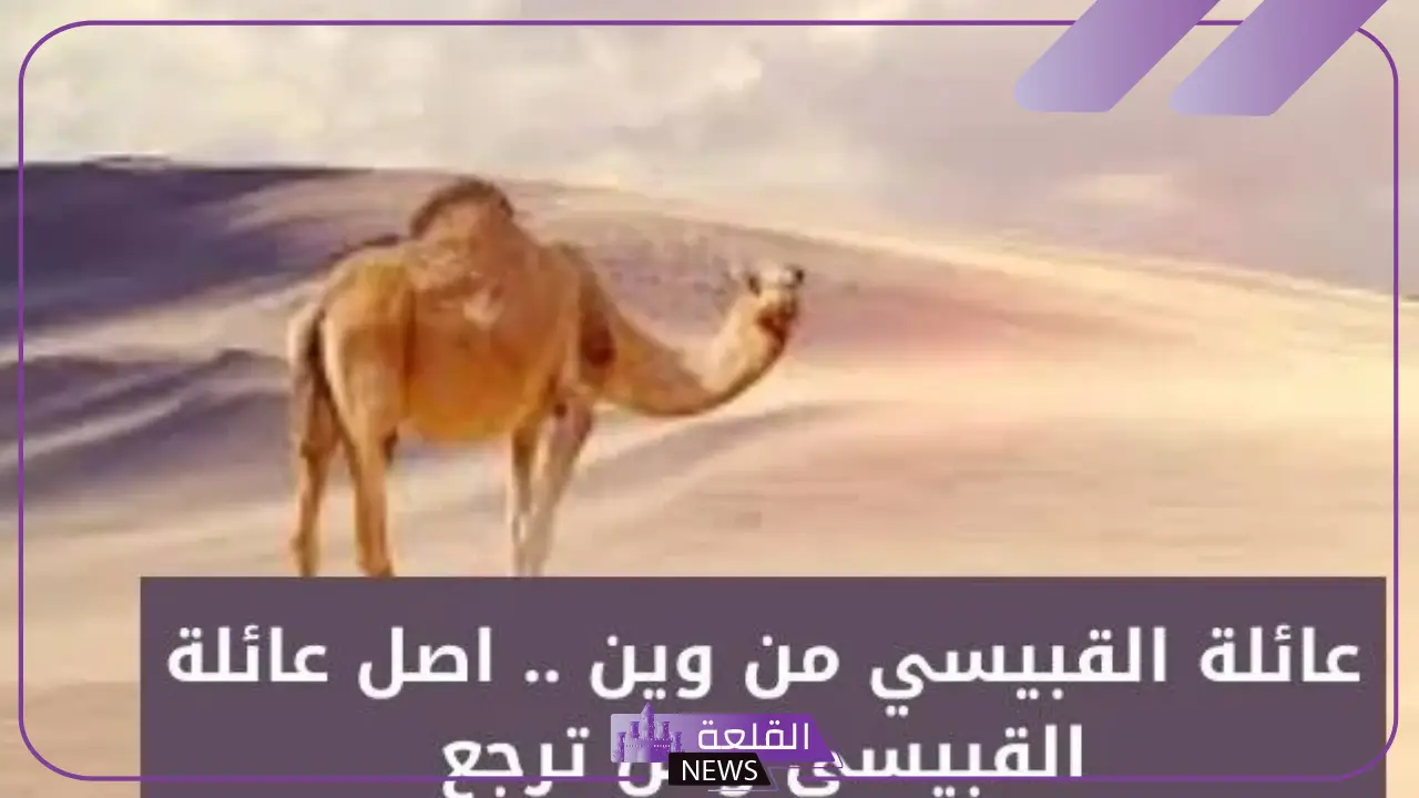 القبيسي وش يرجع أصله ونسبه من وين، شجرة عائلة القبيسي 