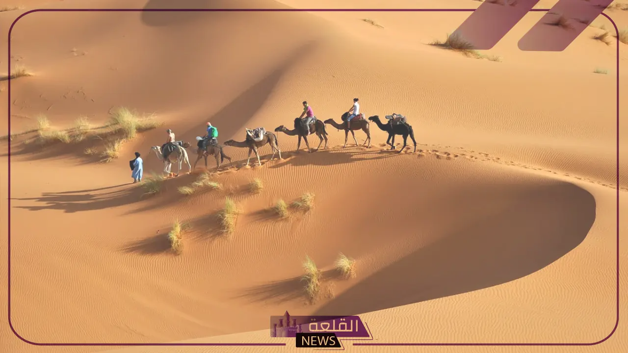 الهذلول وش يرجعون النسب، شجرة الهذلول بالفروع 5 ما هو أصل عائلة الهذلول؟