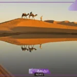 اليوبي وش يرجع أصله ونسبه من وين، شجرة عائلة اليوبي