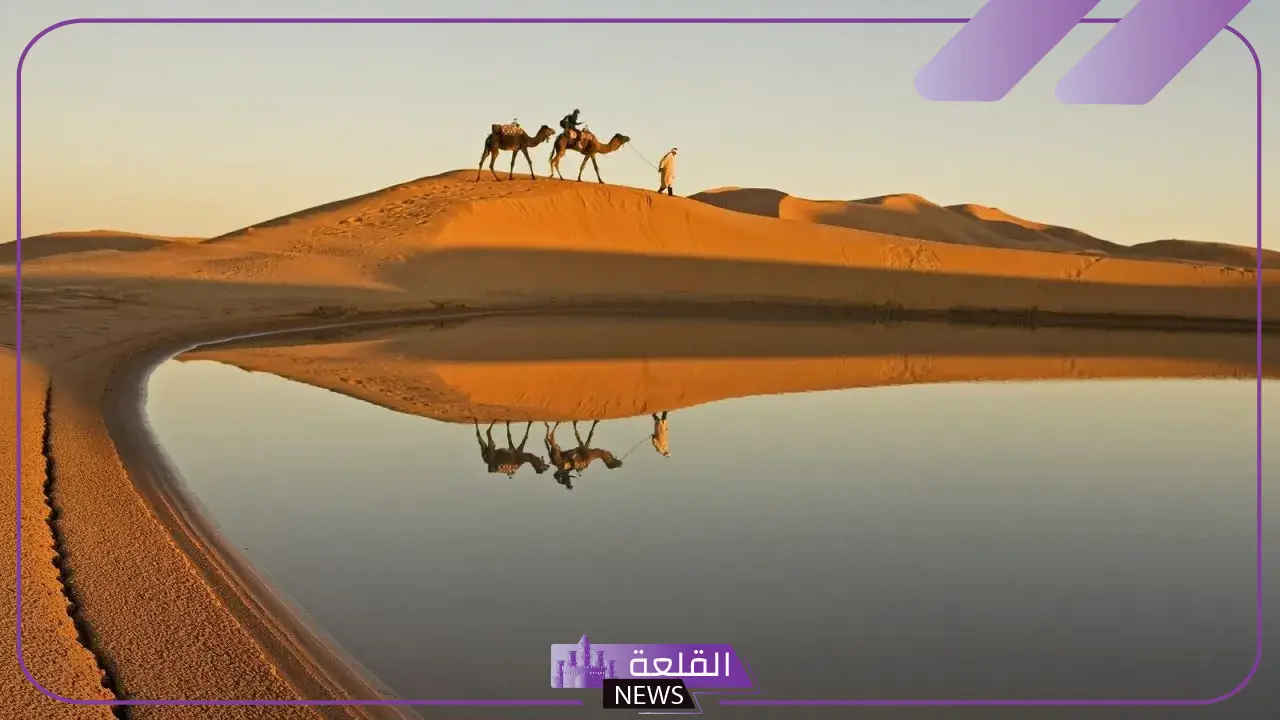 اليوبي وش يرجع أصله ونسبه من وين، شجرة عائلة اليوبي