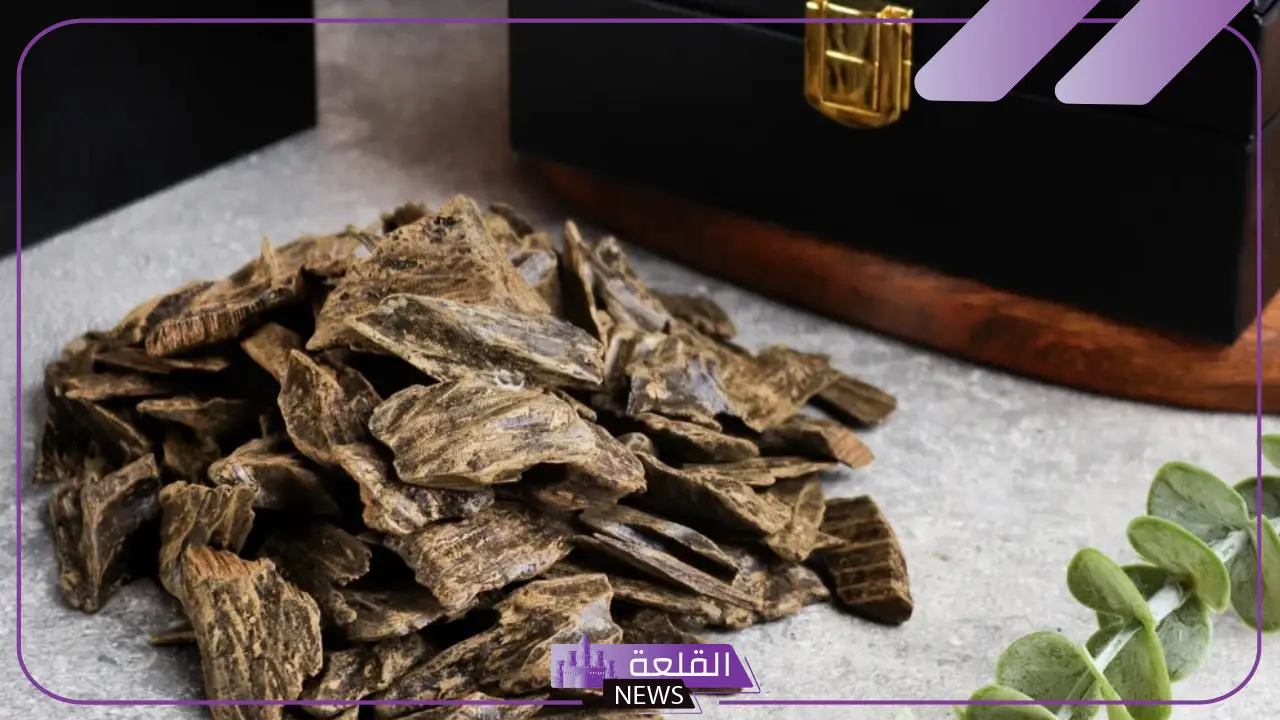 تفسير حلم رائحة بخور العود في المنام للمرأة والرجل 5 أسرار تفسير رؤية بخور العود في المنام