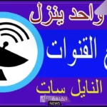 نزلهم في لحظة.. تردد واحد لجميع القنوات على نايل سات 2025
