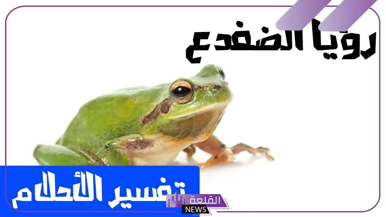 تفسير حلم الضفدع في البيت لابن سيرين والنابلسي 5 تفسير حلم الضفدع في البيت