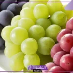 تفسير حلم العنب وأكله في المنام للمرأة والرجل وفقًا لابن سيرين