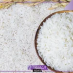 تفسير حلم اكل الارز المطبوخ للعزباء في المنام لابن سيرين والنابلسي