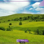 تفسير حلم الارض الخضراء الواسعة والزرع في المنام لابن سيرين