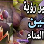 تفسير حلم التين وأكله في المنام للمرأة والرجل لابن سيرين