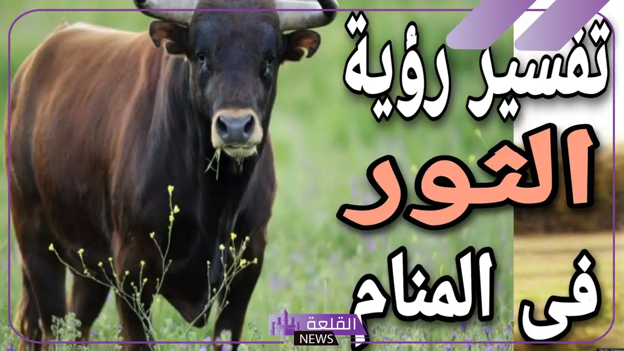تفسير حلم الثور يطاردني في المنام للعزباء والمتزوجة لابن سيرين