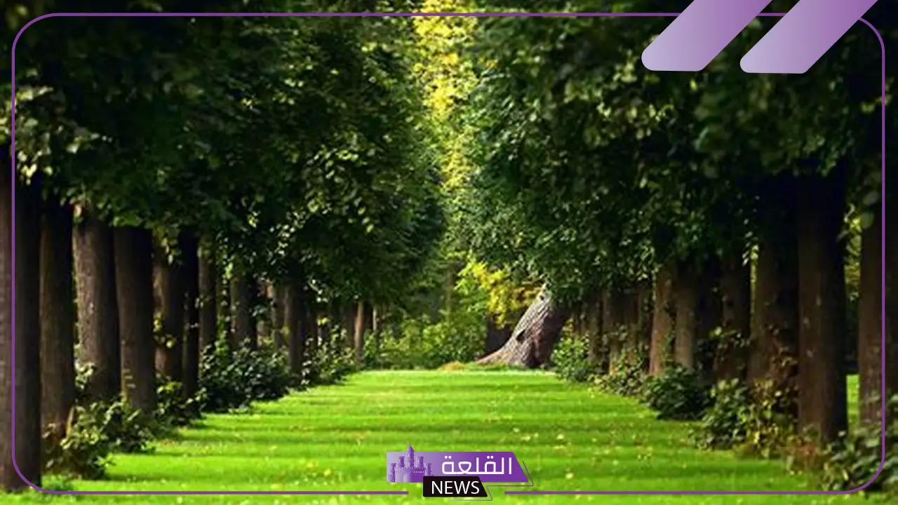 تفسير حلم مكان اخضر جميل وكبير في المنام لابن سيرين 6 تفسير حلم مكان اخضر جميل للحامل