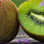 تناولها في الصباح.. فاكهة فعالة لعلاج الإمساك وجميع مشكلات الجهاز الهضمي