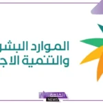 تضم الهندسة وطب الأسنان.. الموارد البشرية تتخذ قرارات جديدة لتوطين 269 مهنة بالقطاع الخاص
