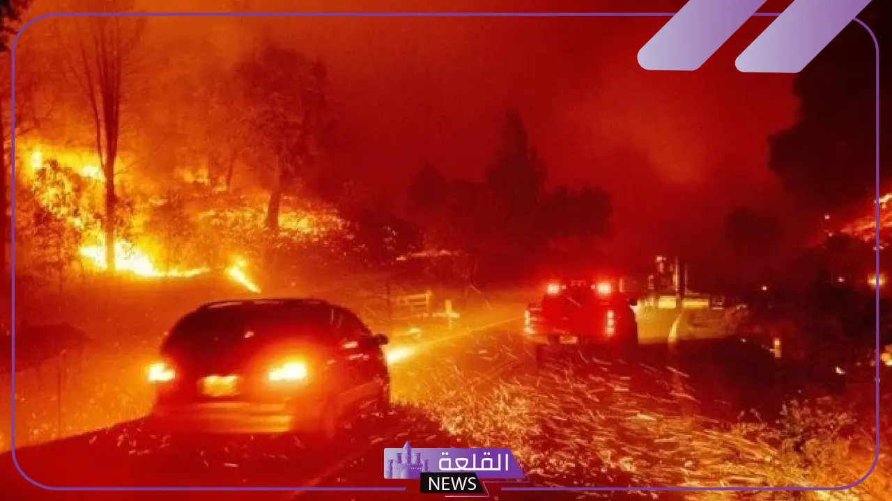 بسبب حدوث حرائق كاليفورنيا.. بايدن يلغي زيارته إلى إيطاليا 5 تحذيرات صحية مع تزايد الوفيات في حرائق لوس أنجلوس